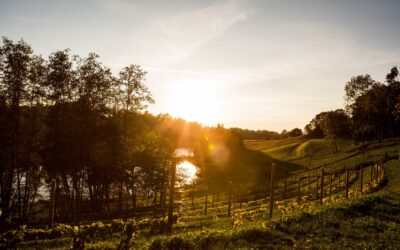 Eesti Veinitee Lõuna-Eesti marsruut: Tartumaa-Otepää-Võrumaa