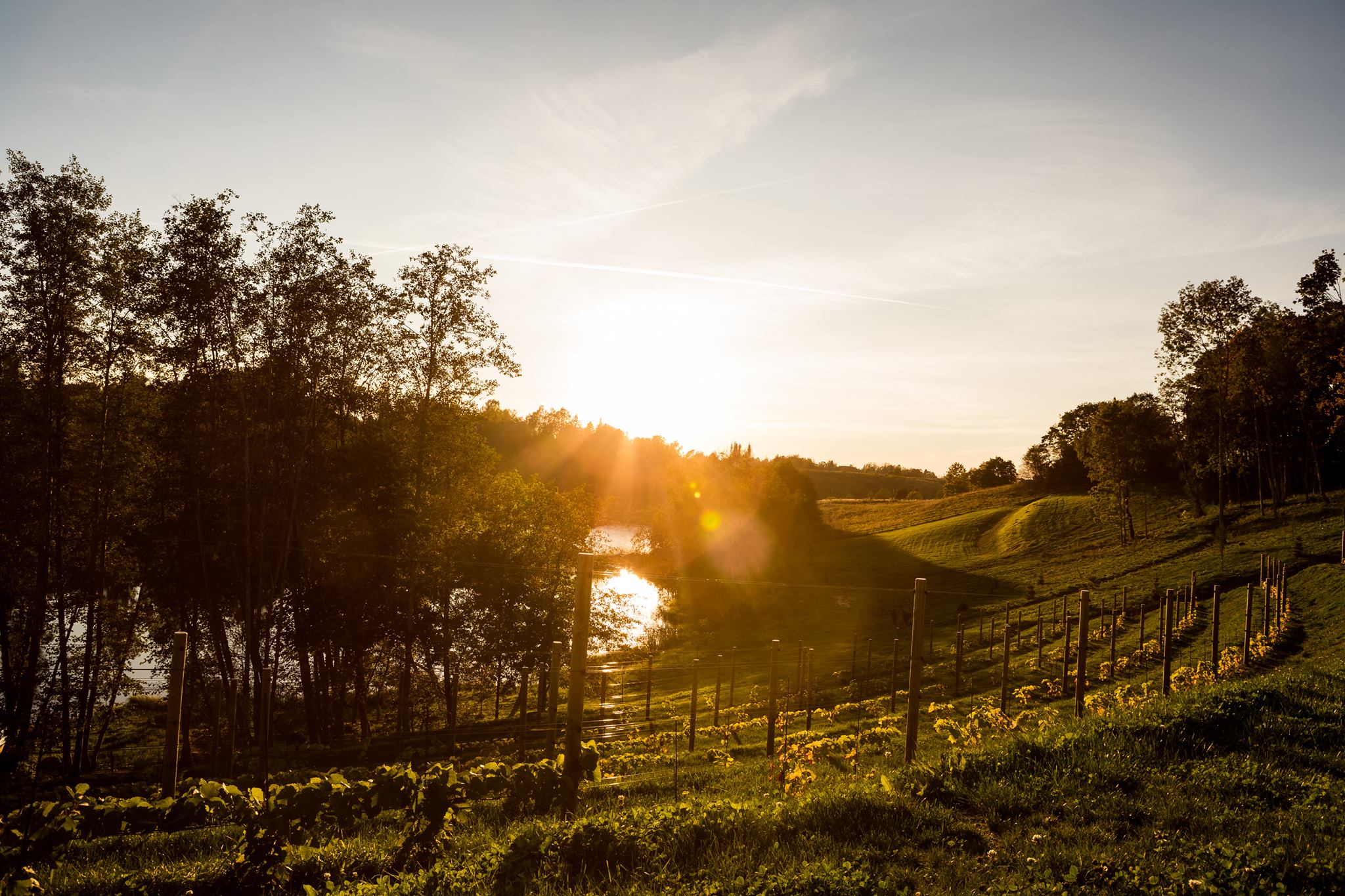 Murimae veinikelder - Eesti Veinitee