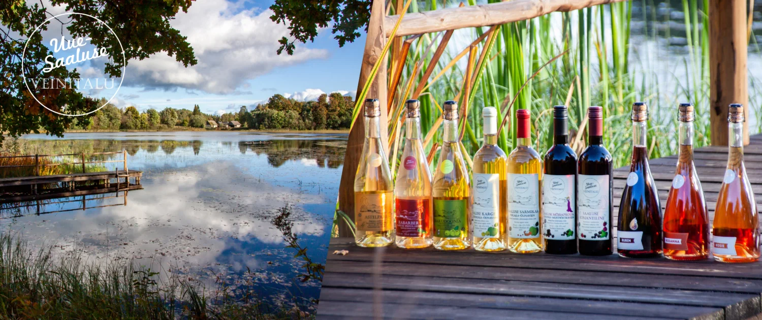 uue-saaluse-veinitee-