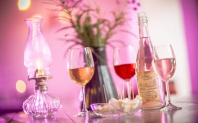 Eesti Veinitee Lõuna-Eesti marsruut: Tartumaa