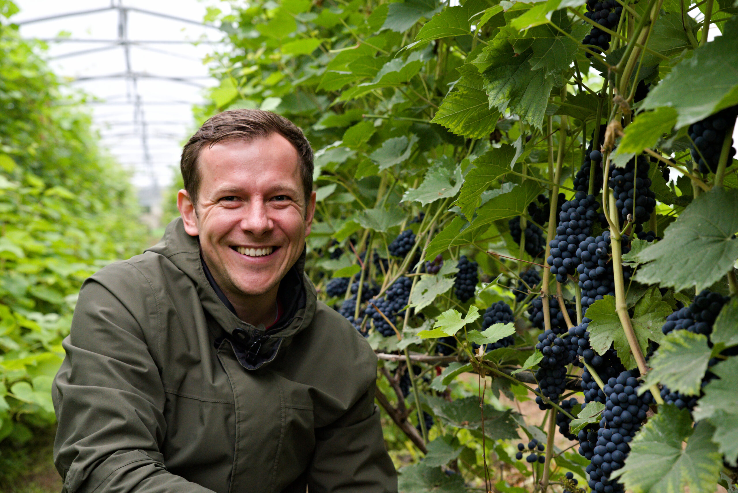 Veinimäe-Eesti-veinitee