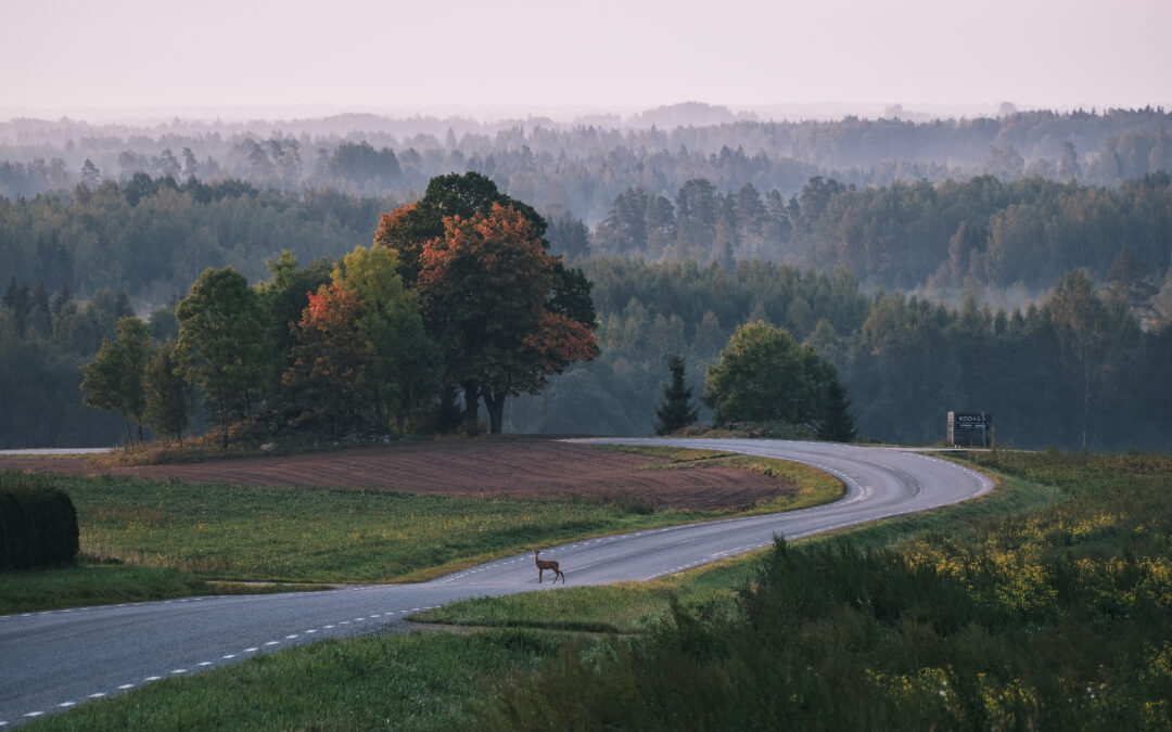 Tule Eesti Veiniteele ja jää ööseks – siin on parimad võimalused veinimajade juures