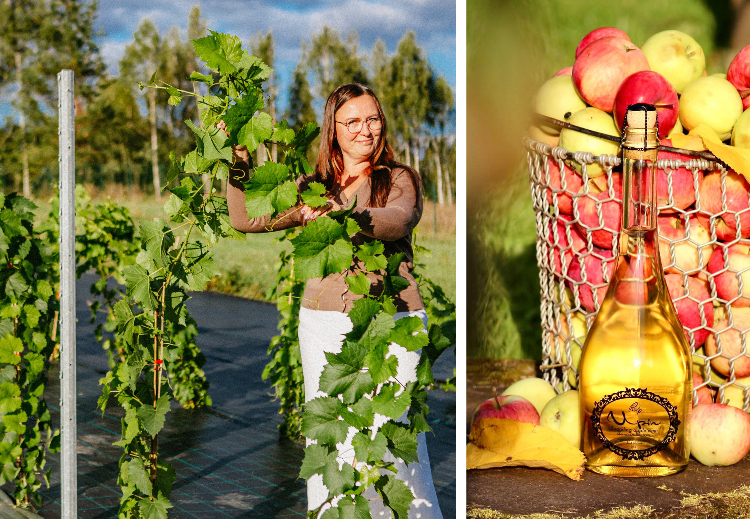 eesti-veinitee-rüüp-ala-juusa