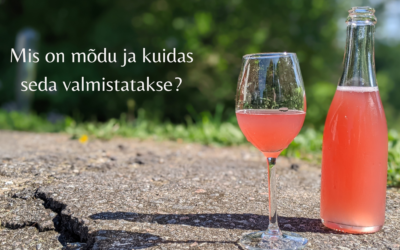 Mis on mõdu ja kuidas seda valmistatakse?