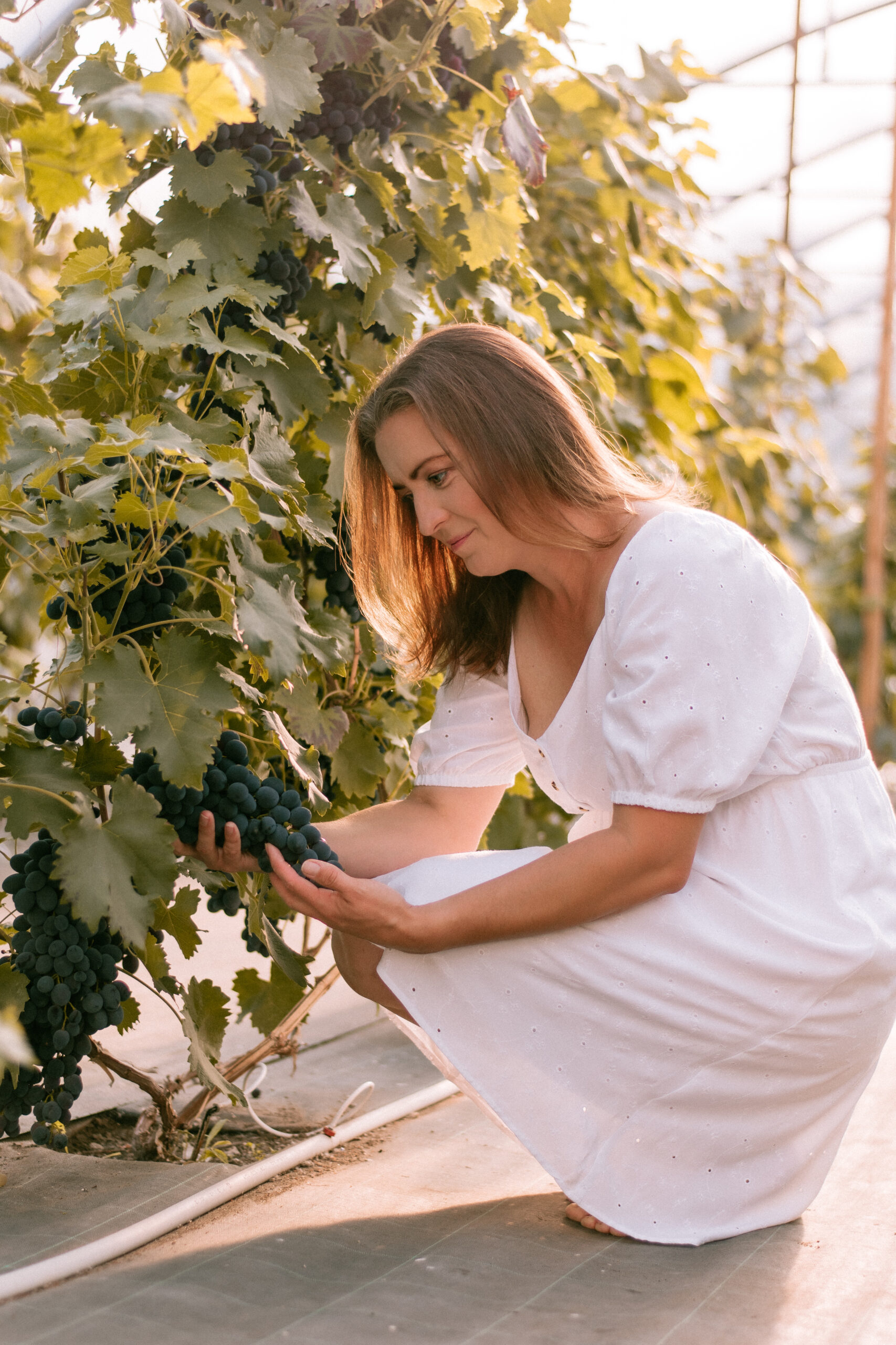 Lüganuse veinimaja-eesti-veinitee Lüganuse veinimaja-eesti-veinitee